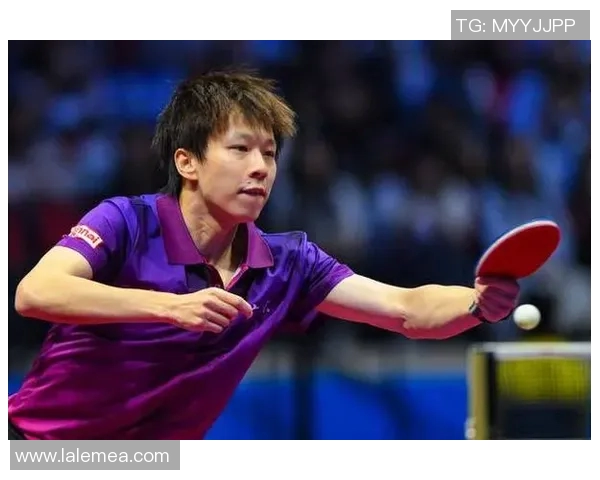 全运会巅峰对决林高远与张继科再续乒乓传奇激情对抗引发热议