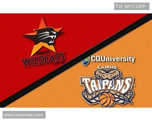 坎斯大班与波斯野猫的精彩对决揭示了足球战术的博弈与激情的碰撞